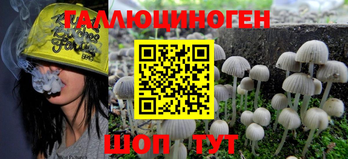 Зерноград  Псилоцибиновые грибы мухоморы  Вход с VPN 