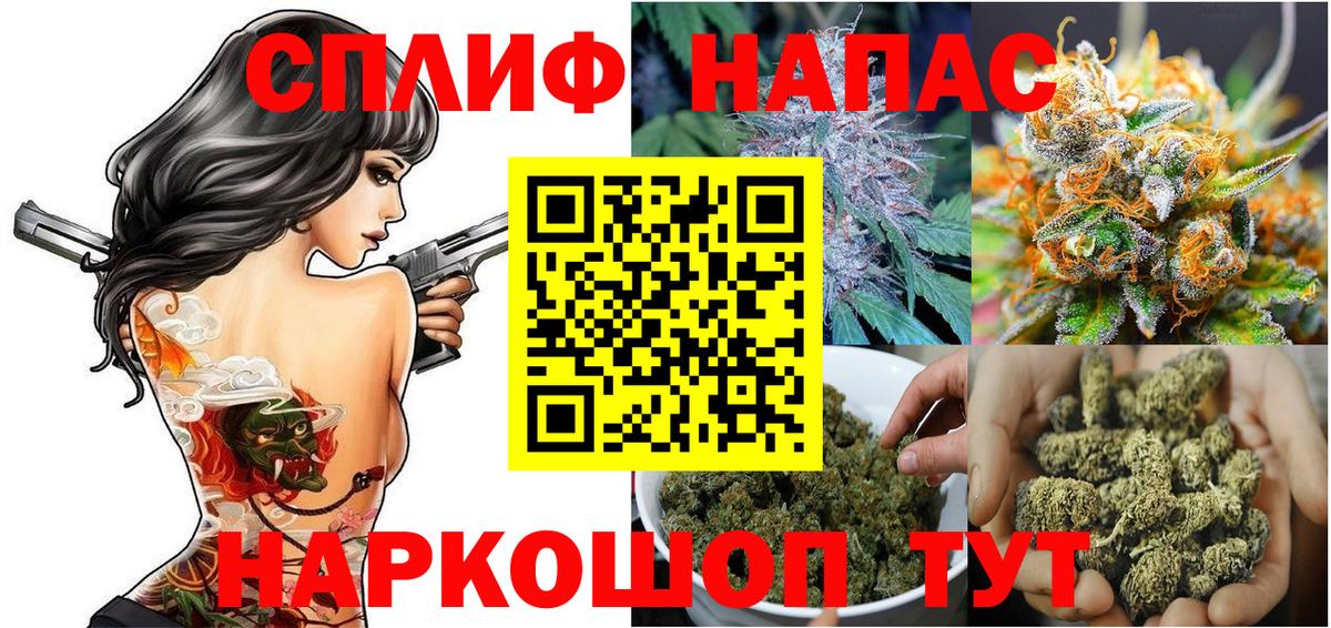 Бошки Шишки Зерноград